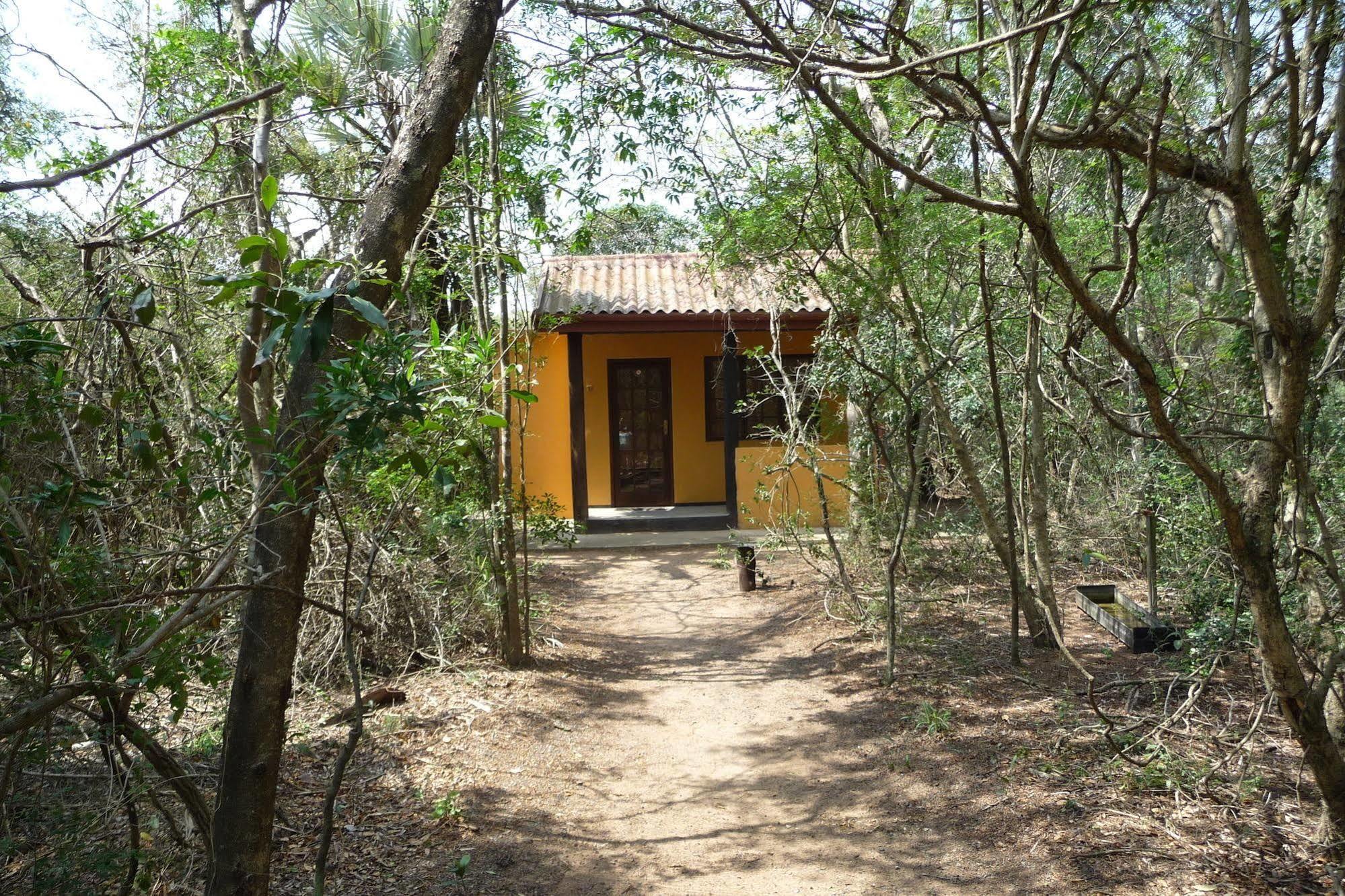 Hotel Isinkwe Backpackers Bushcamp Hluhluwe Zewnętrze zdjęcie