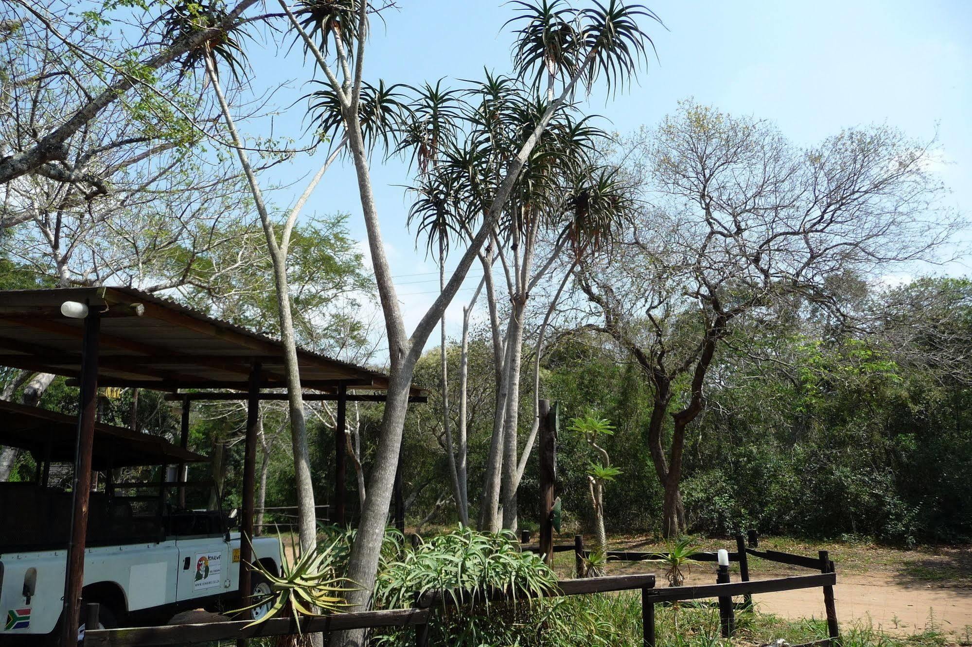 Hotel Isinkwe Backpackers Bushcamp Hluhluwe Zewnętrze zdjęcie